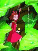 Arrietty chaparde votre lecteur (test DVD) - CinéSérie