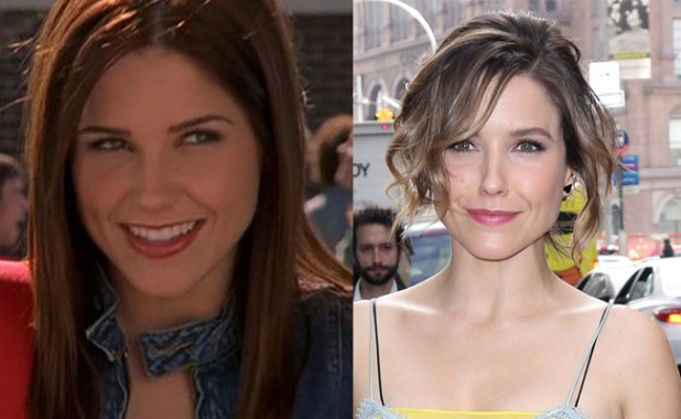 Sophia Bush