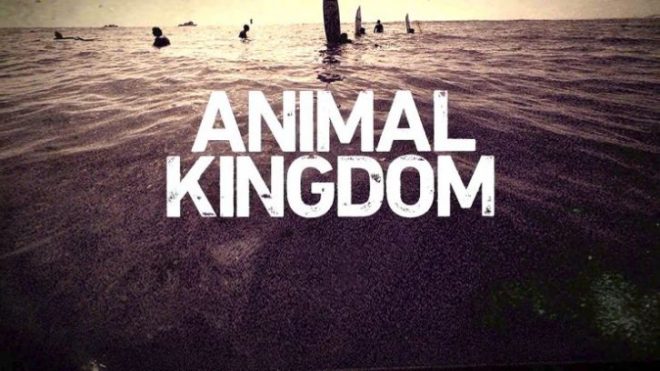 animal kingdom