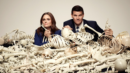Ces séries qui s'arrêtront en 2017 : Bones