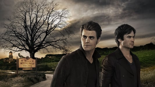 Ces séries qui s'arrêteront en 2017 : Vampire Diaries