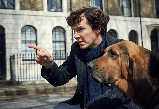 Sherlock : Une saison 5 en prévision pour 2019 ?