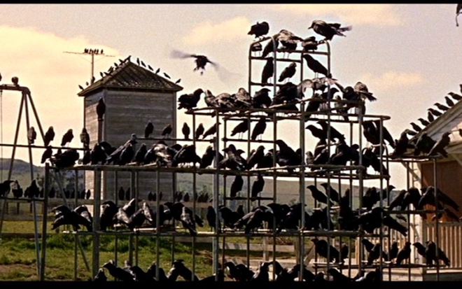 Retour sur Les Oiseaux d'Alfred Hitchcock