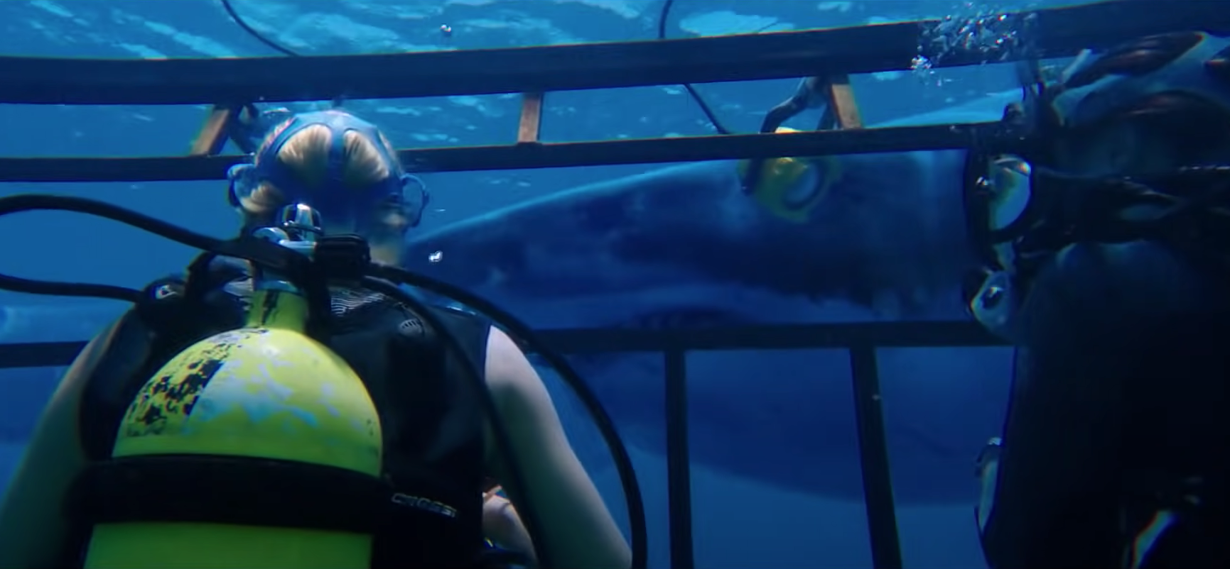 47 Meters Down