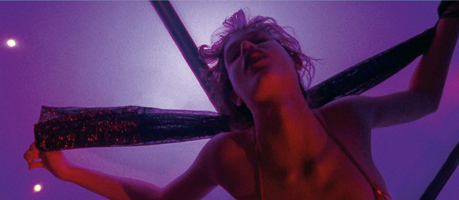 Gros Plan : Gaspar Noé à rebours