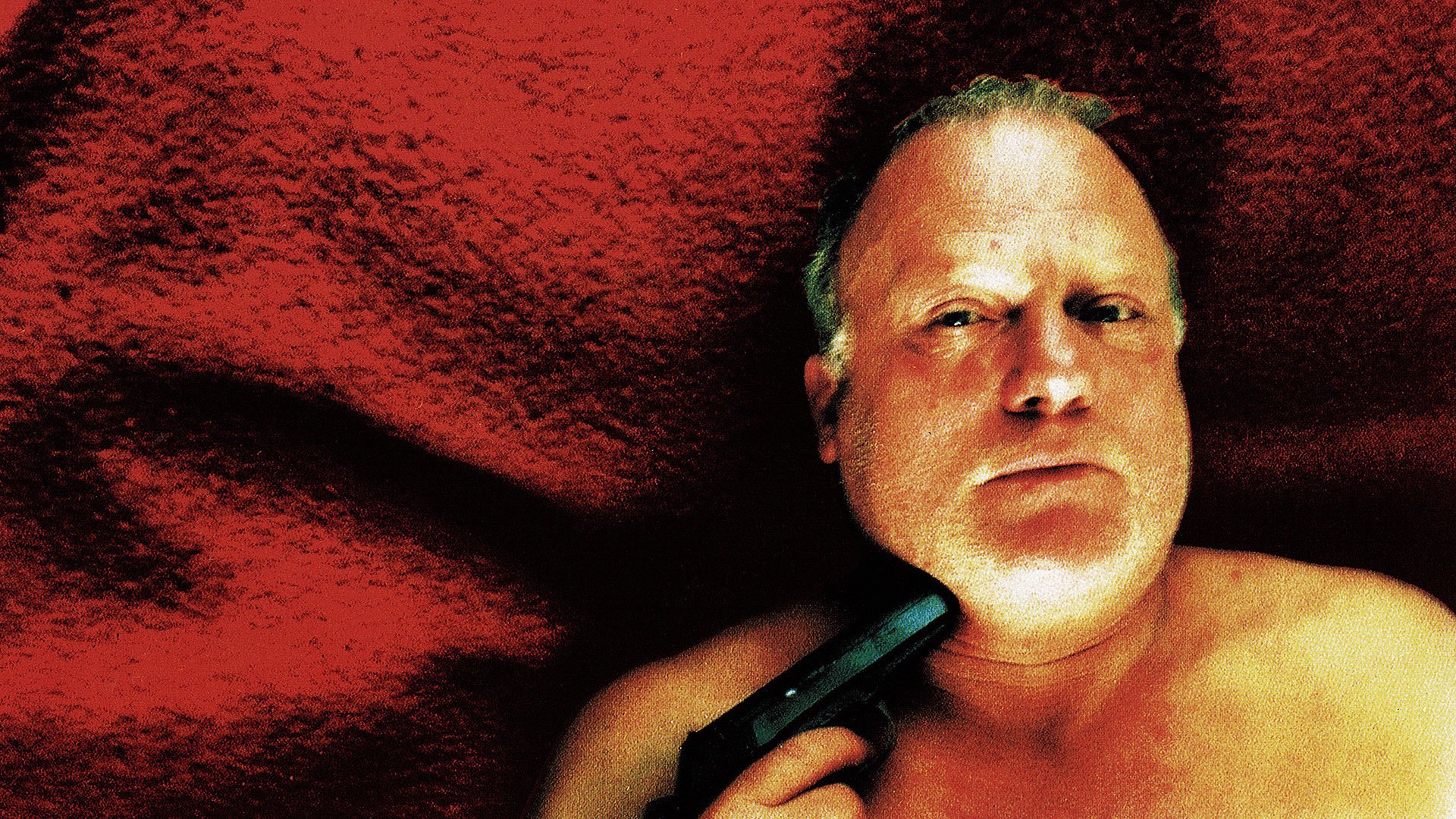 Gros Plan : Gaspar Noé à rebours