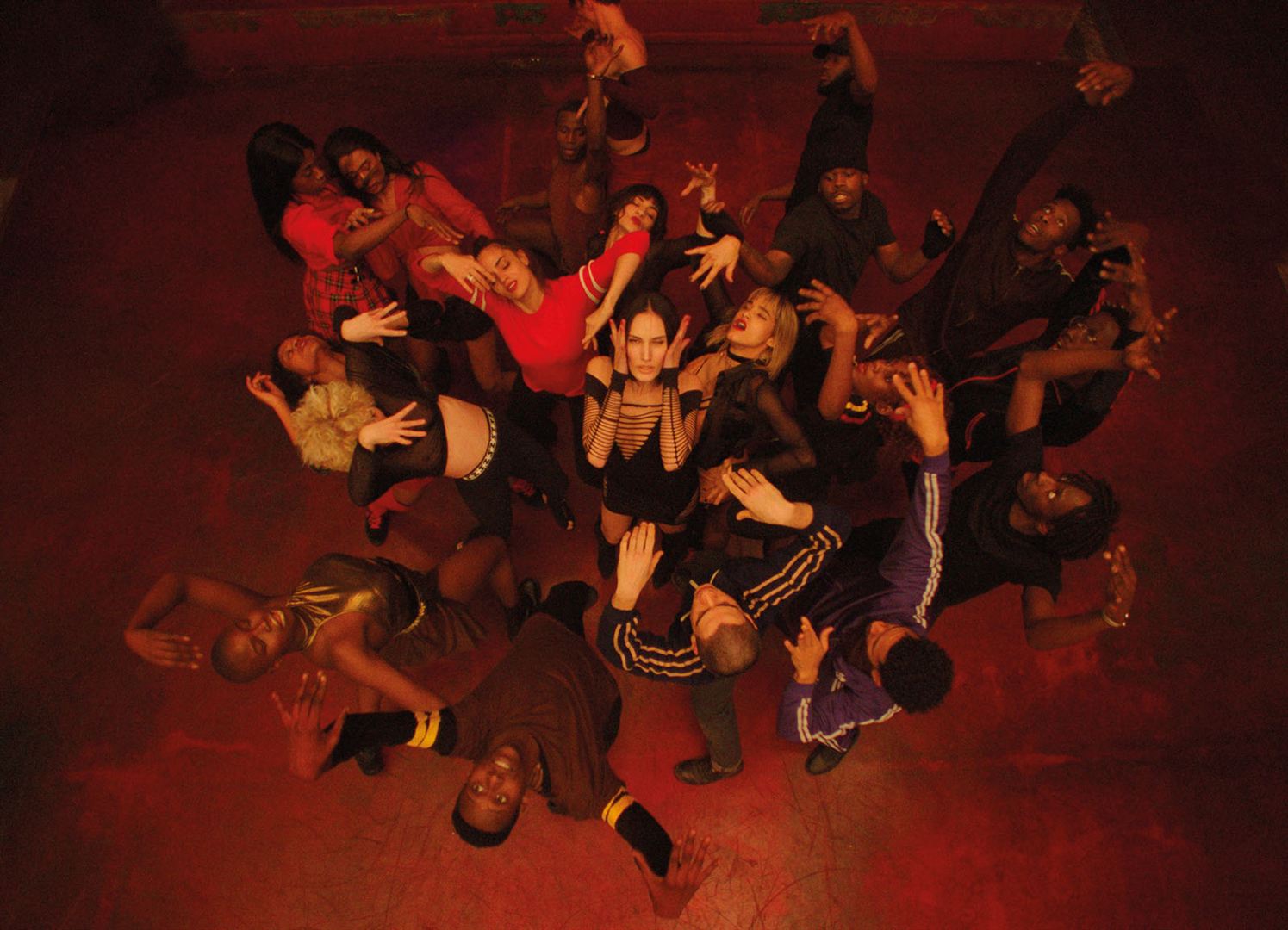 Gros Plan : Gaspar Noé à rebours