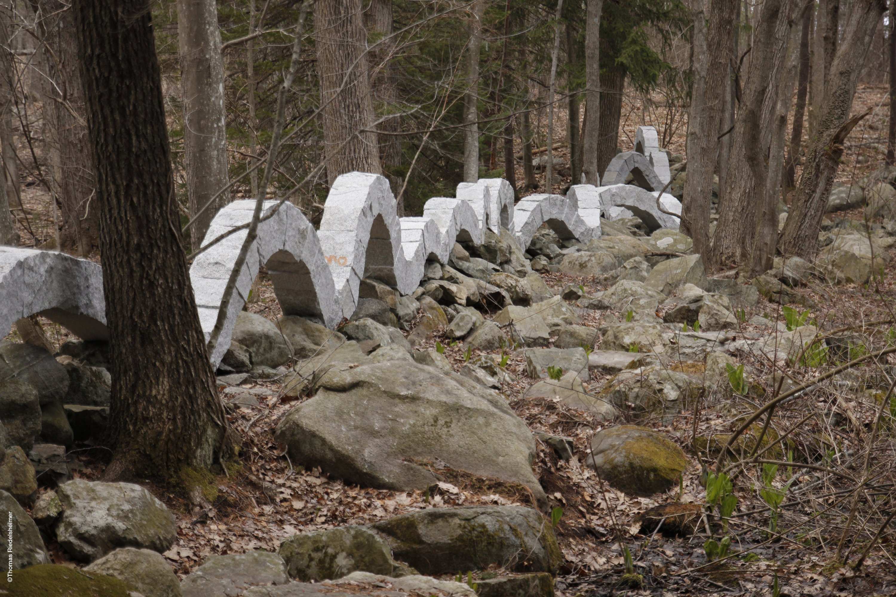 Penché dans le vent : Critique du documentaire sur Andy Goldsworthy.