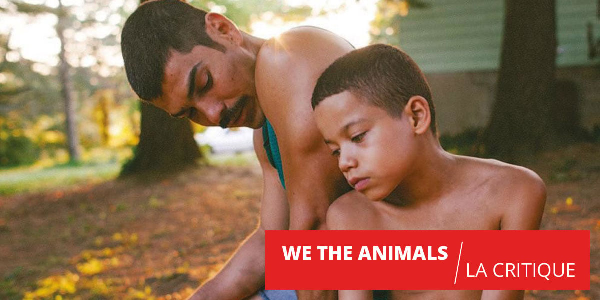 Critique de We the Animals (Film, 2019) CinéSéries