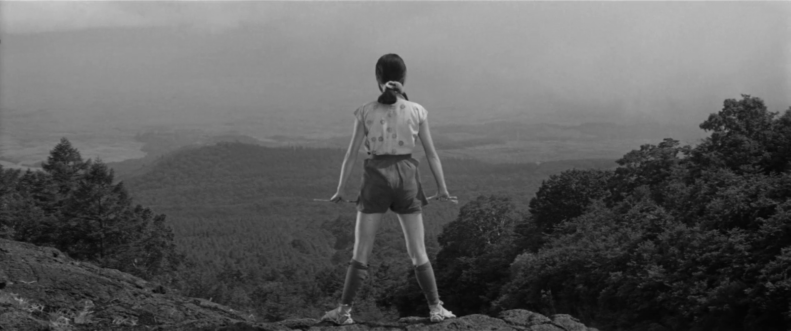 La Forteresse cachée : Critique du film d'aventure d'Akira Kurosawa.