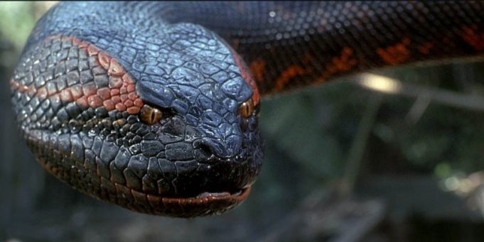 Anaconda : la série B horrifique sera bientôt de retour 
