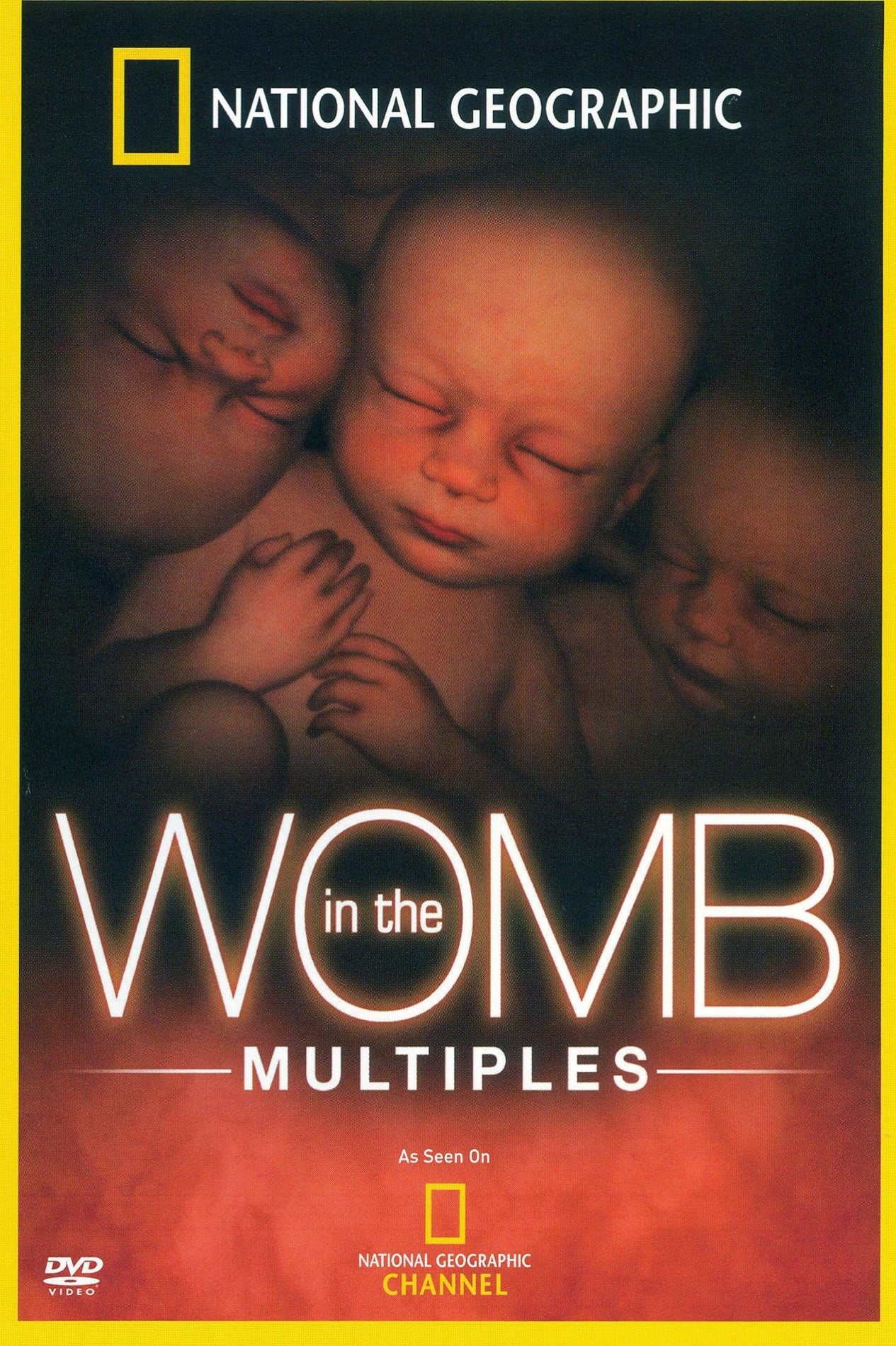 in-the-womb-multiples-film-2007-cin-s-ries