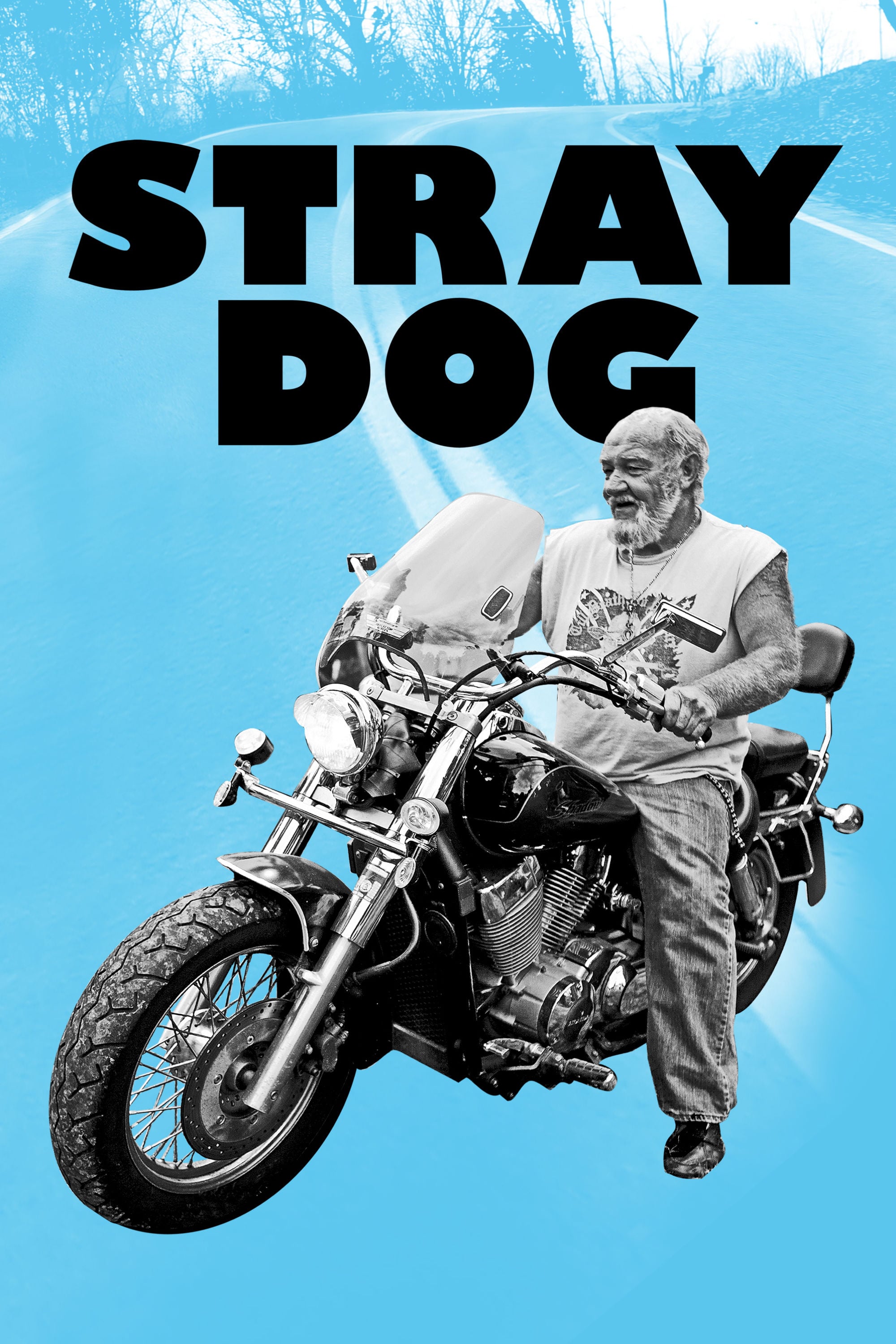 Stray Dog (Film, 2014) — CinéSérie