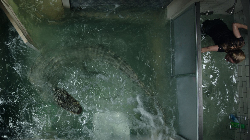 Crawl samedi 28 mars sur Canal+ : l'équipe a-t-elle utilisé des vrais crocodiles ?