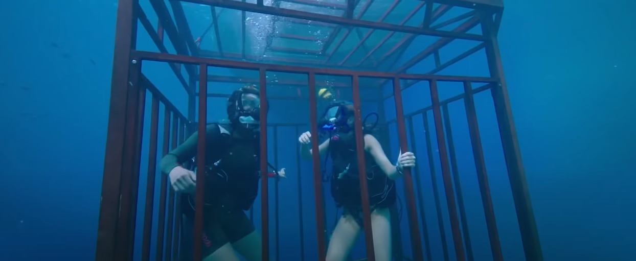 47 Meters Down ©Entertainment One