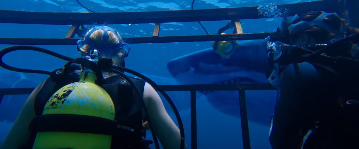 47 metros abajo: ¿Cómo fue filmar en el agua?
