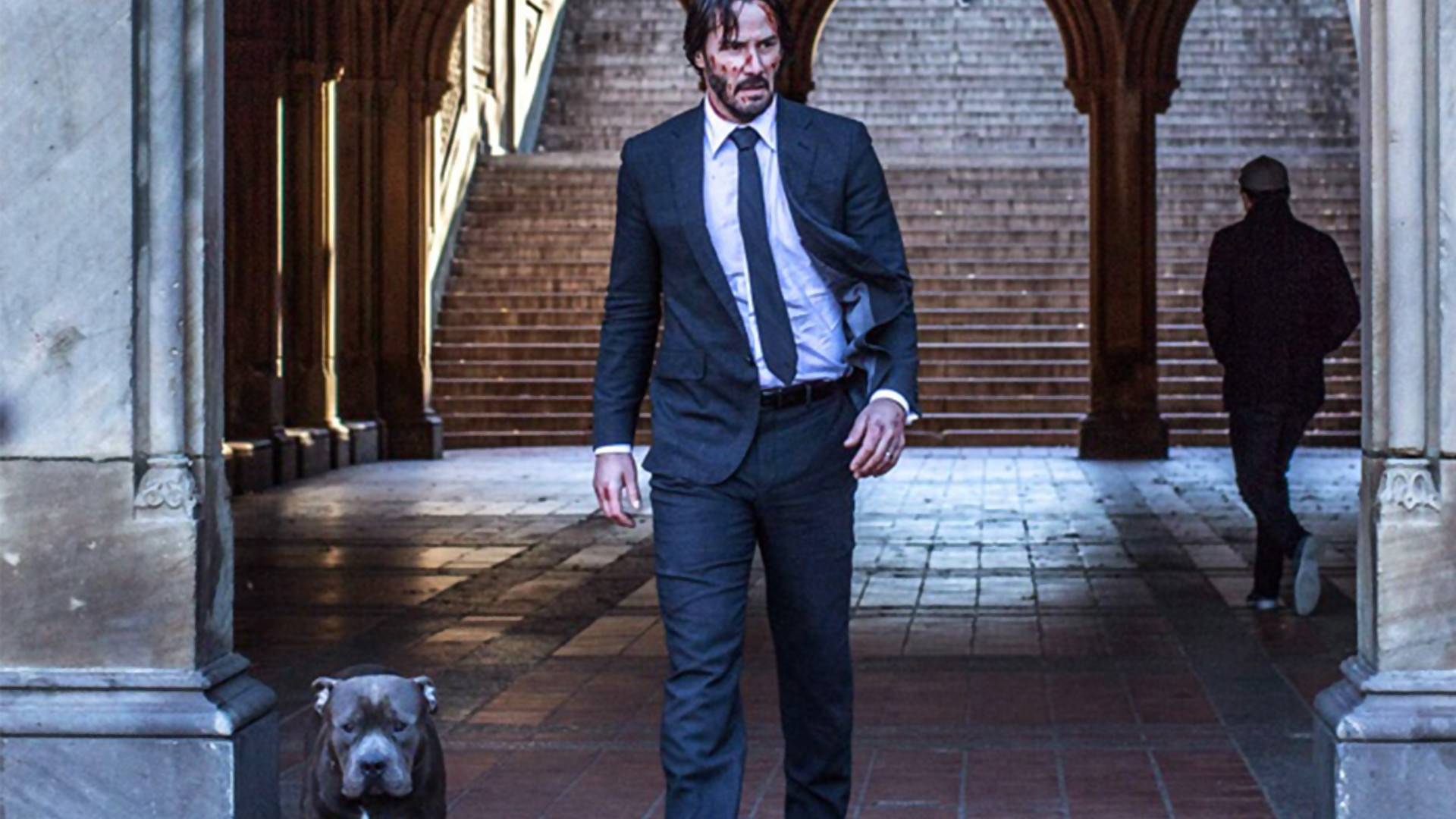 John Wick : le studio ne voulait pas que le chien du héros meurt 