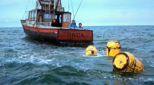 Les Dents de la mer a 45 ans : découvrez des anecdotes de tournage