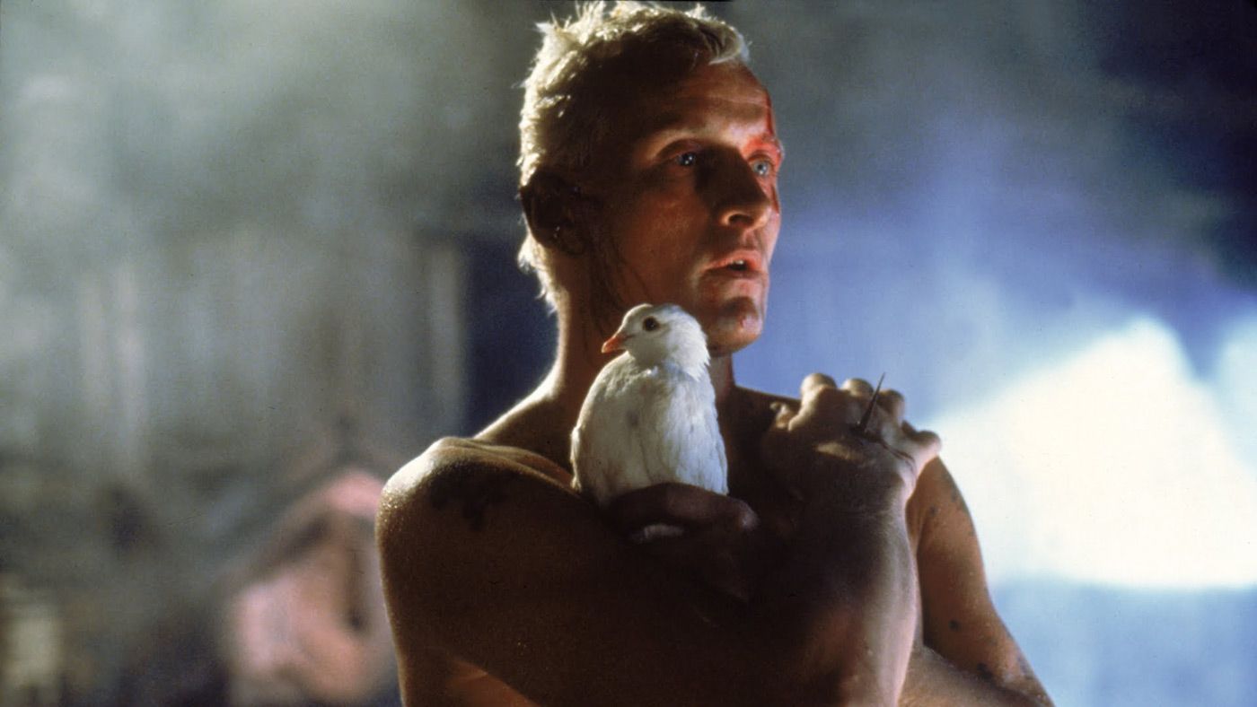 "Blade Runner - The Final Cut" : Retour sur l'évolution du film culte de Ridley Scott et sur l'une de ses scènes cultes.