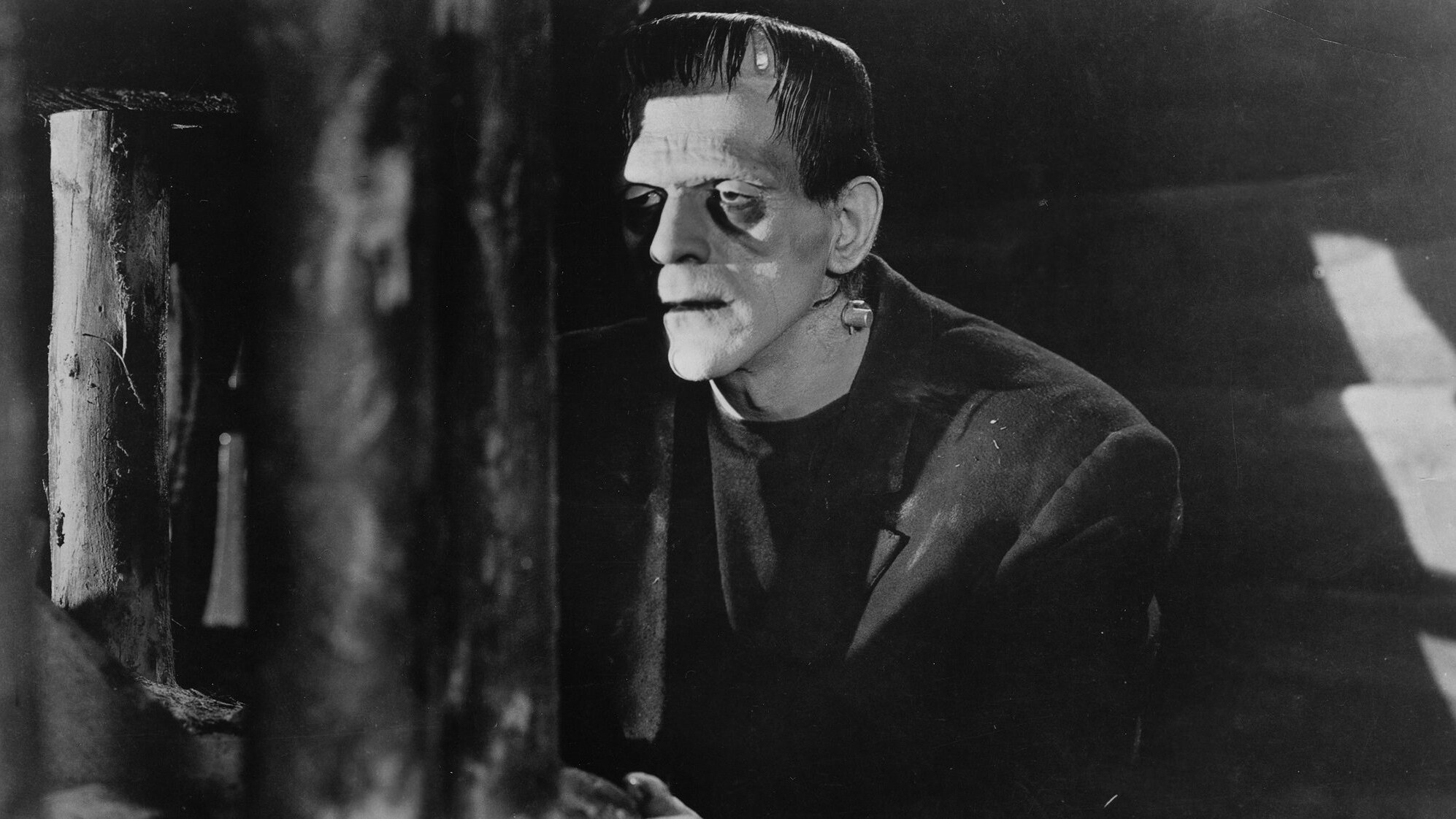 Guillermo del Toro aimerait faire une trilogie Frankenstein