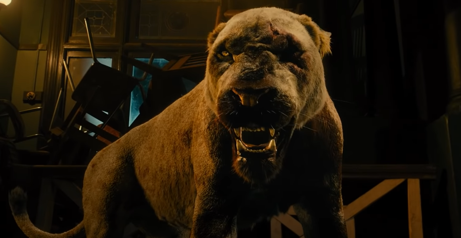 Rogue : Megan Fox face à une lionne dans la bande-annonce