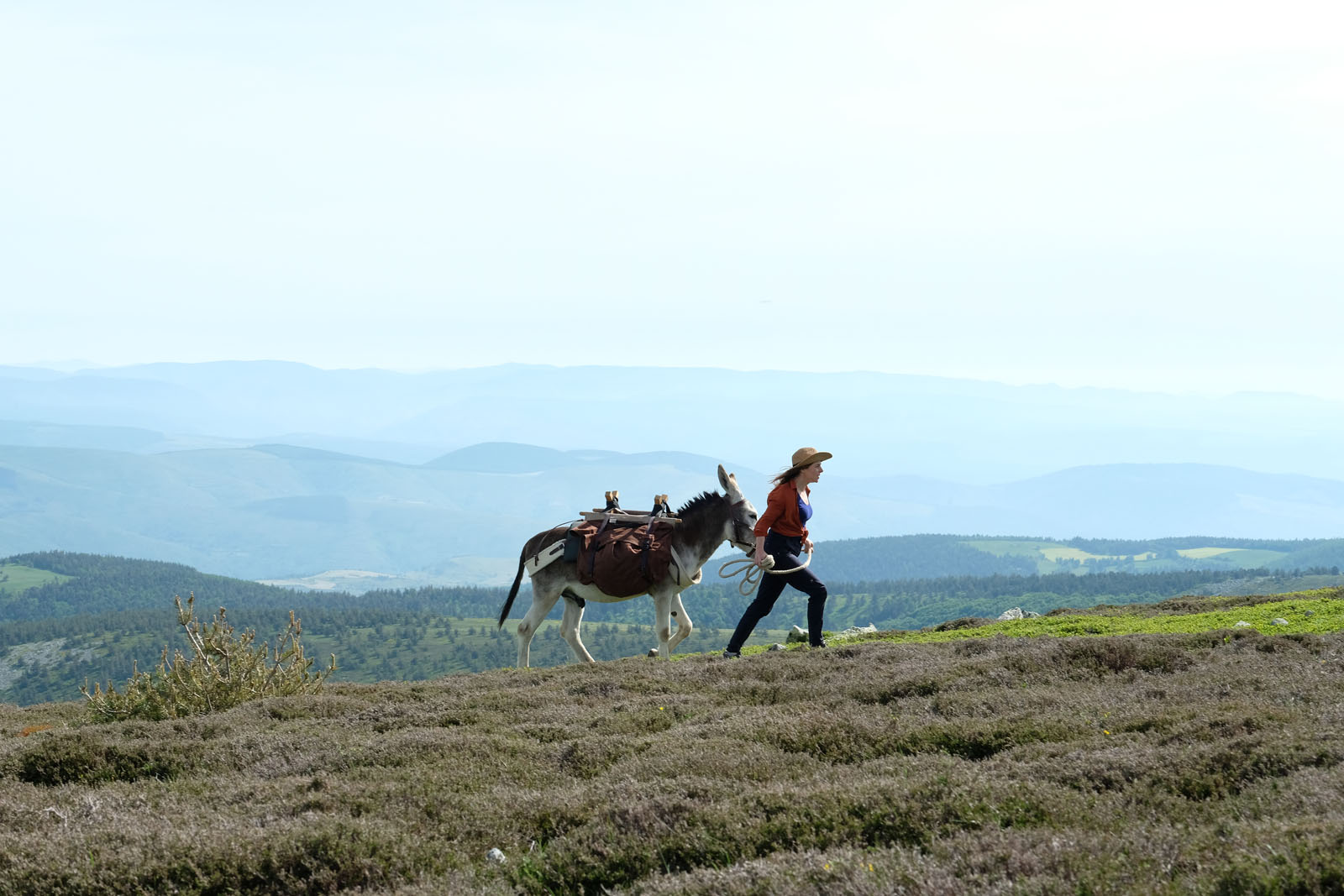 critique / avis film Antoinette dans les Cévennes : ou comment faire simple et grandiose