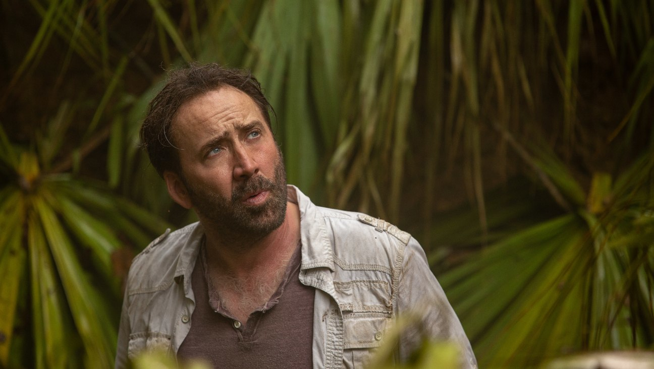 Joe Exotic : la série avec Nicolas Cage est pour Amazon