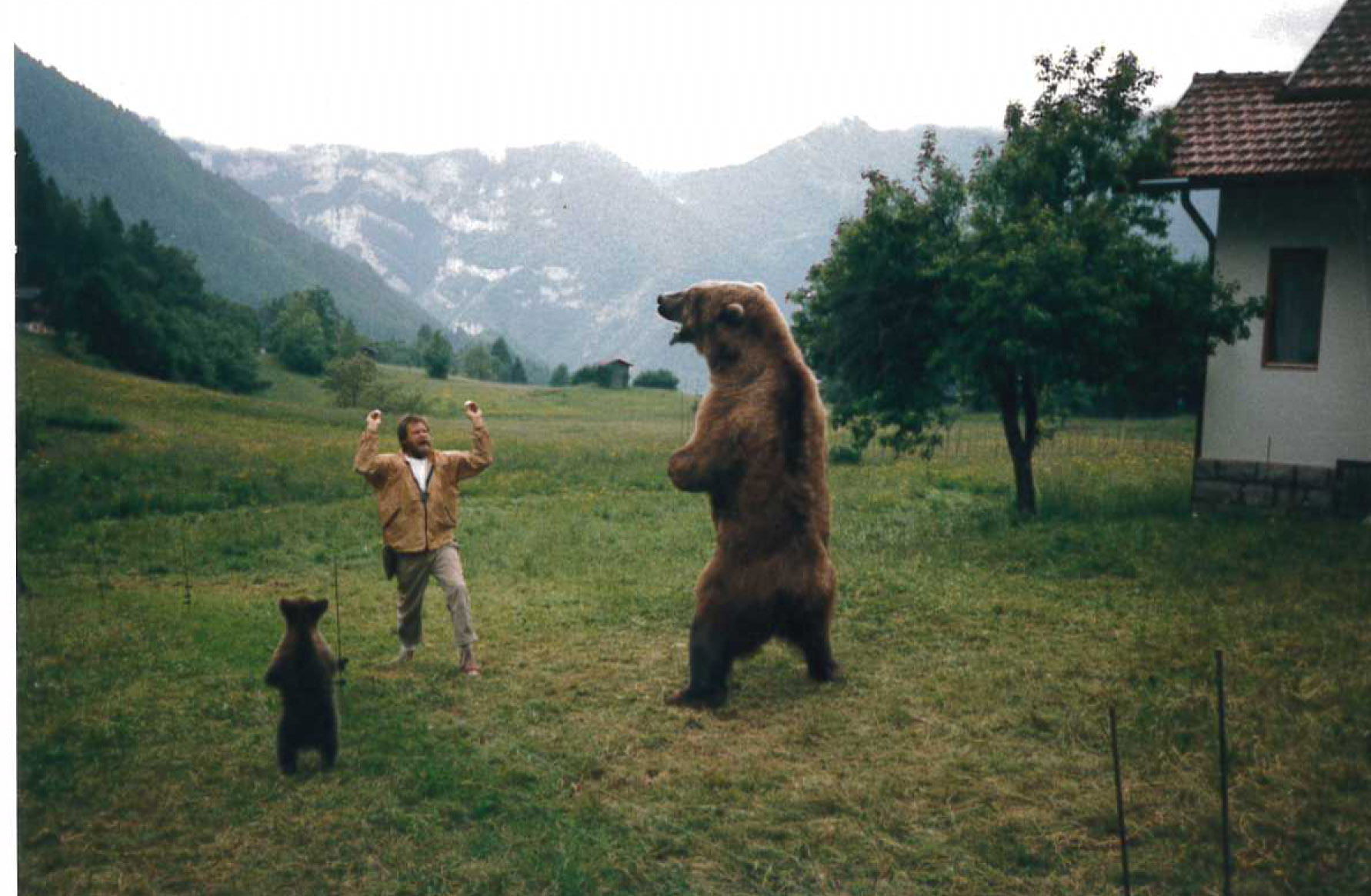 Découvrez l'incroyable filmographie de l'ours Bart