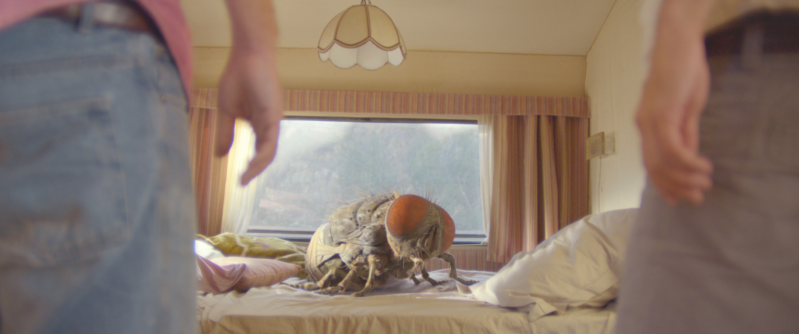 Mandibules Mandibules : Critique de la nouvelle comédie de Quentin Dupieux avec Grégoire Ludig et David Marsais.