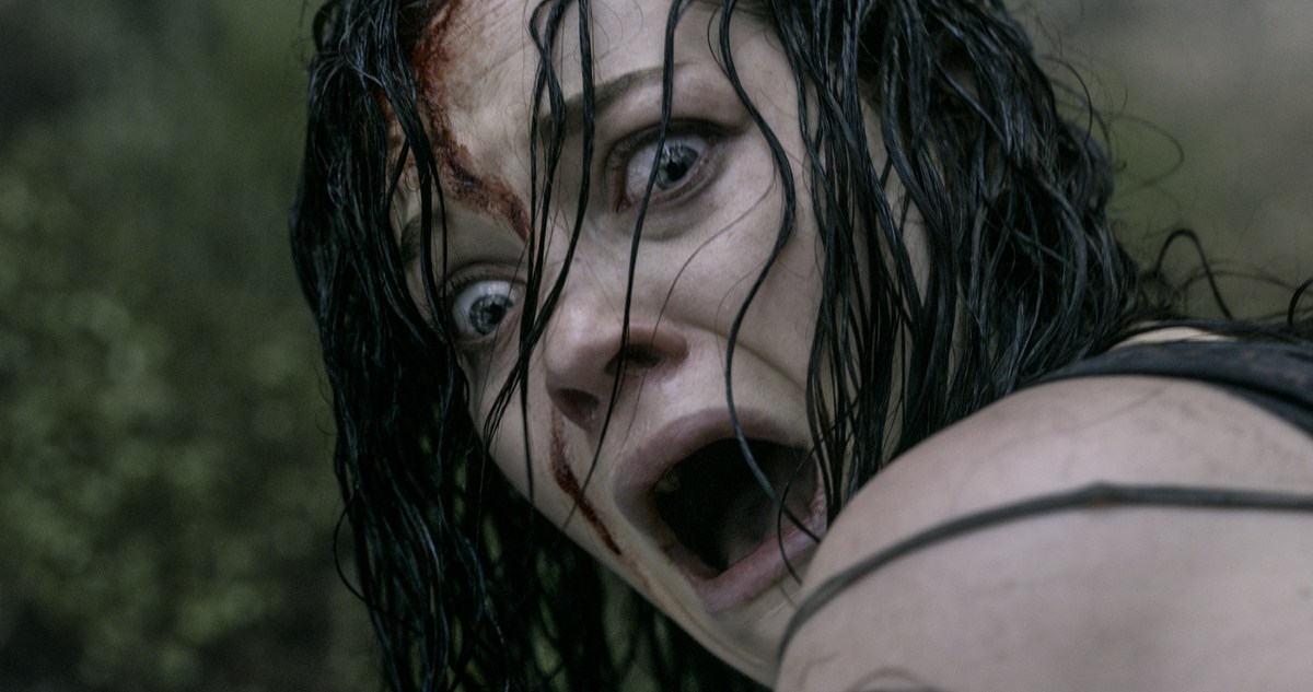 Evil Dead Rise : on en sait plus sur le prochain film de la franchise