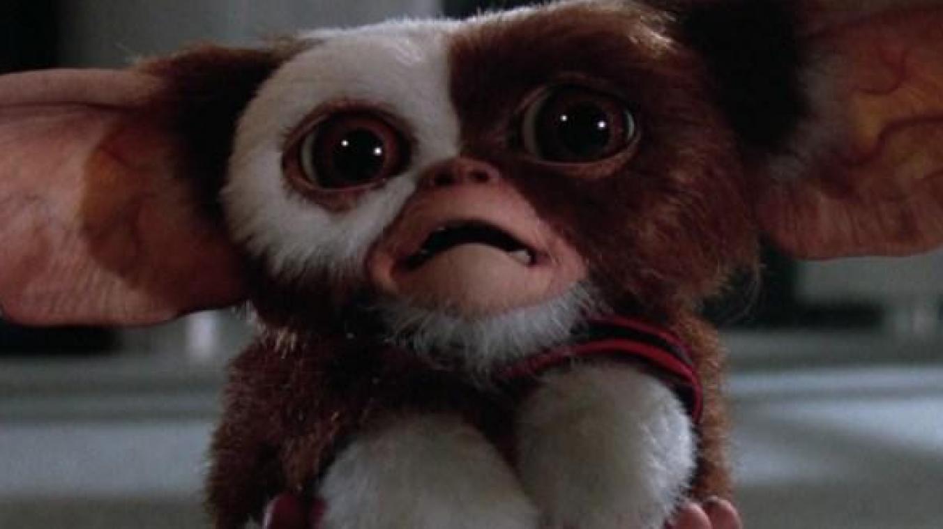 Gremlins sur Netflix : 5 choses que vous ne saviez pas sur le film de Joe Dante Gremlins sur Netflix : 5 choses que vous ne saviez pas sur le film de Joe Dante