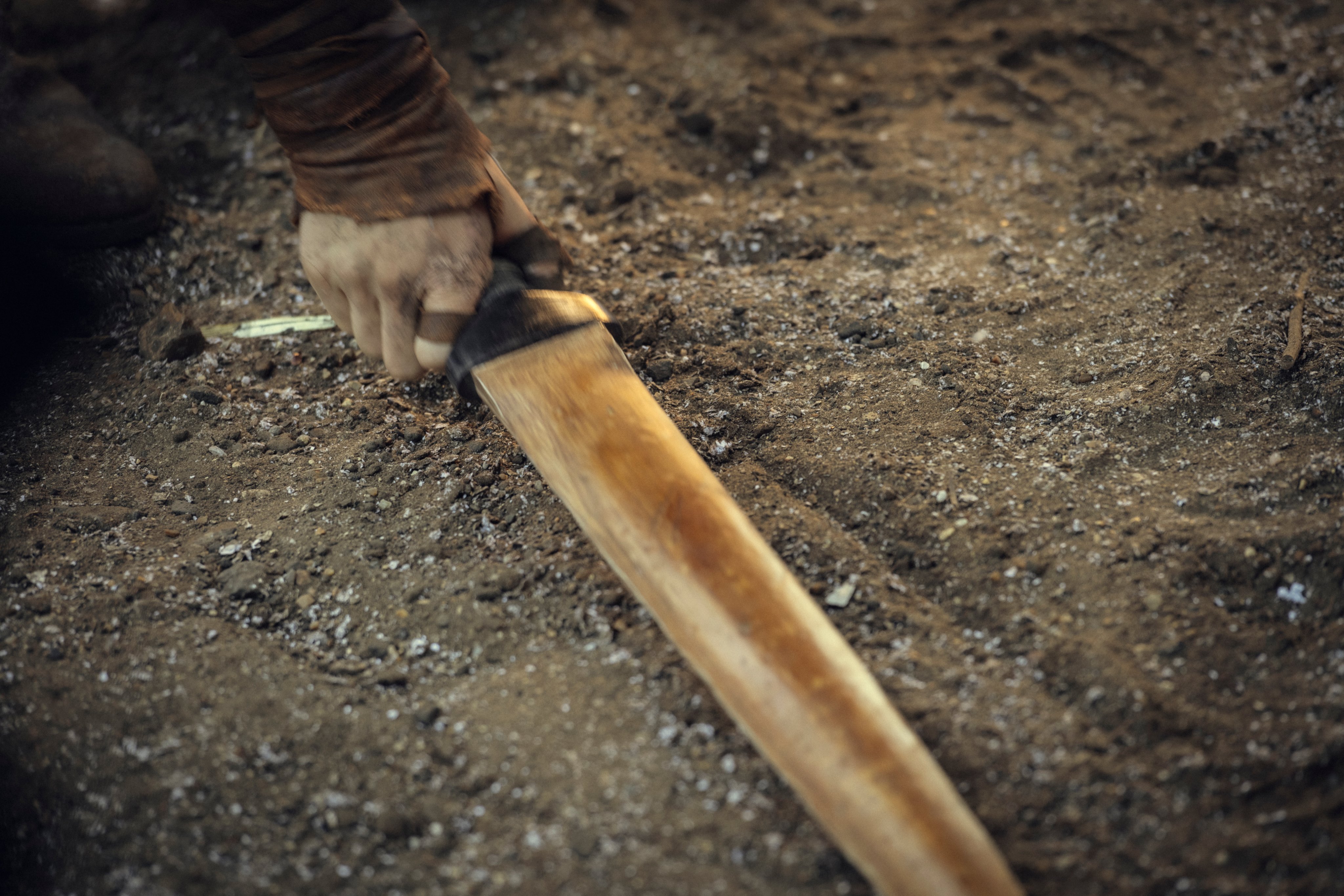 The Witcher arme