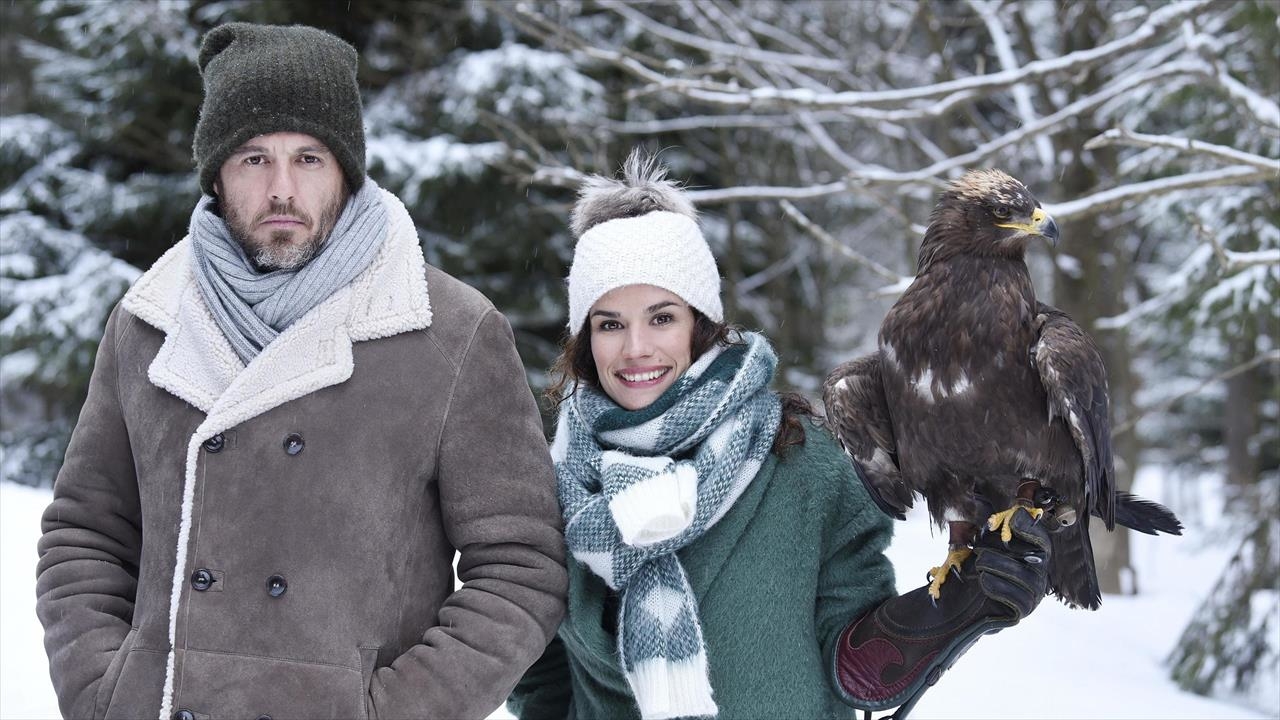Coup de foudre sur un air de Noël