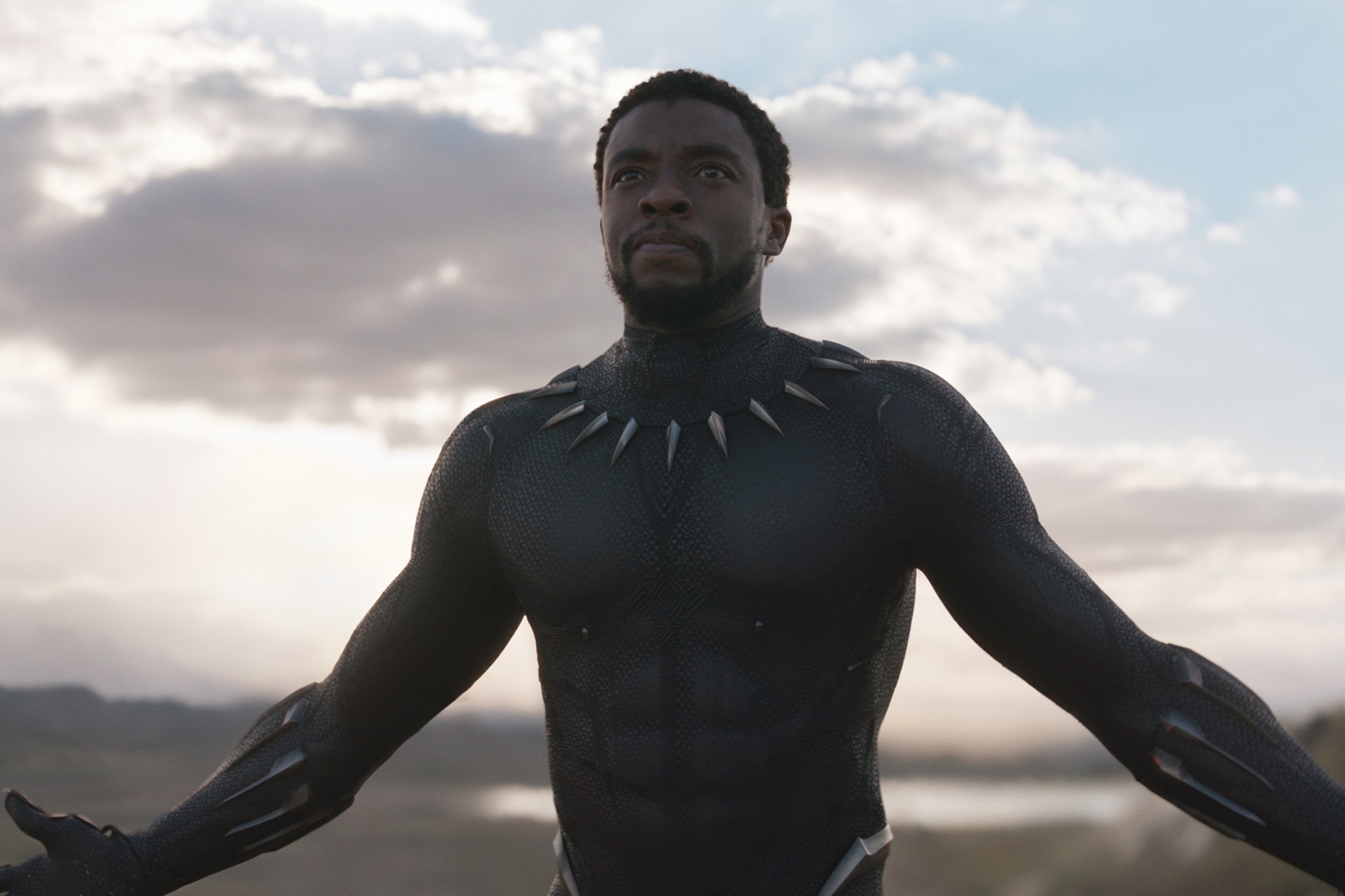 Black Panther Black Panther