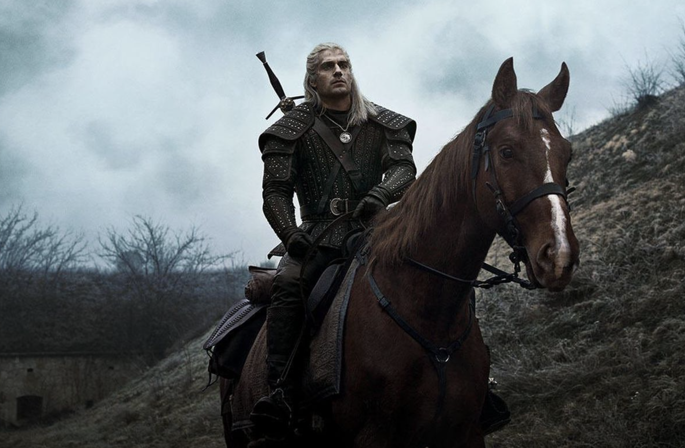 The Witcher The Witcher