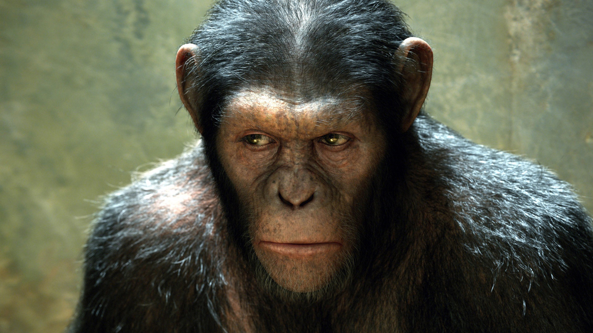 La Planète des singes : Les Origines La Planète des singes : Les Origines