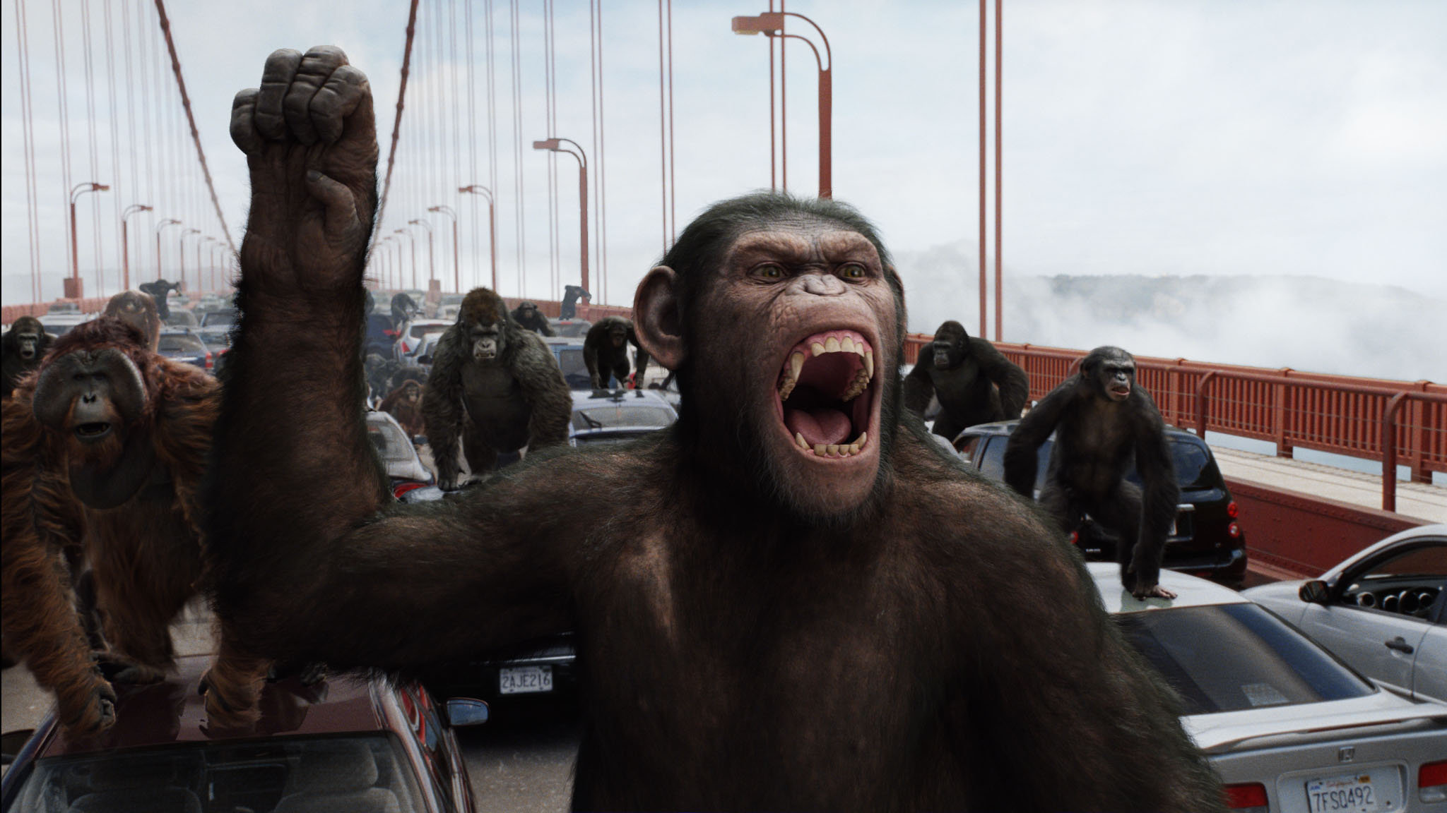 La Planète des singes : Les Origines La Planète des singes : Les Origines