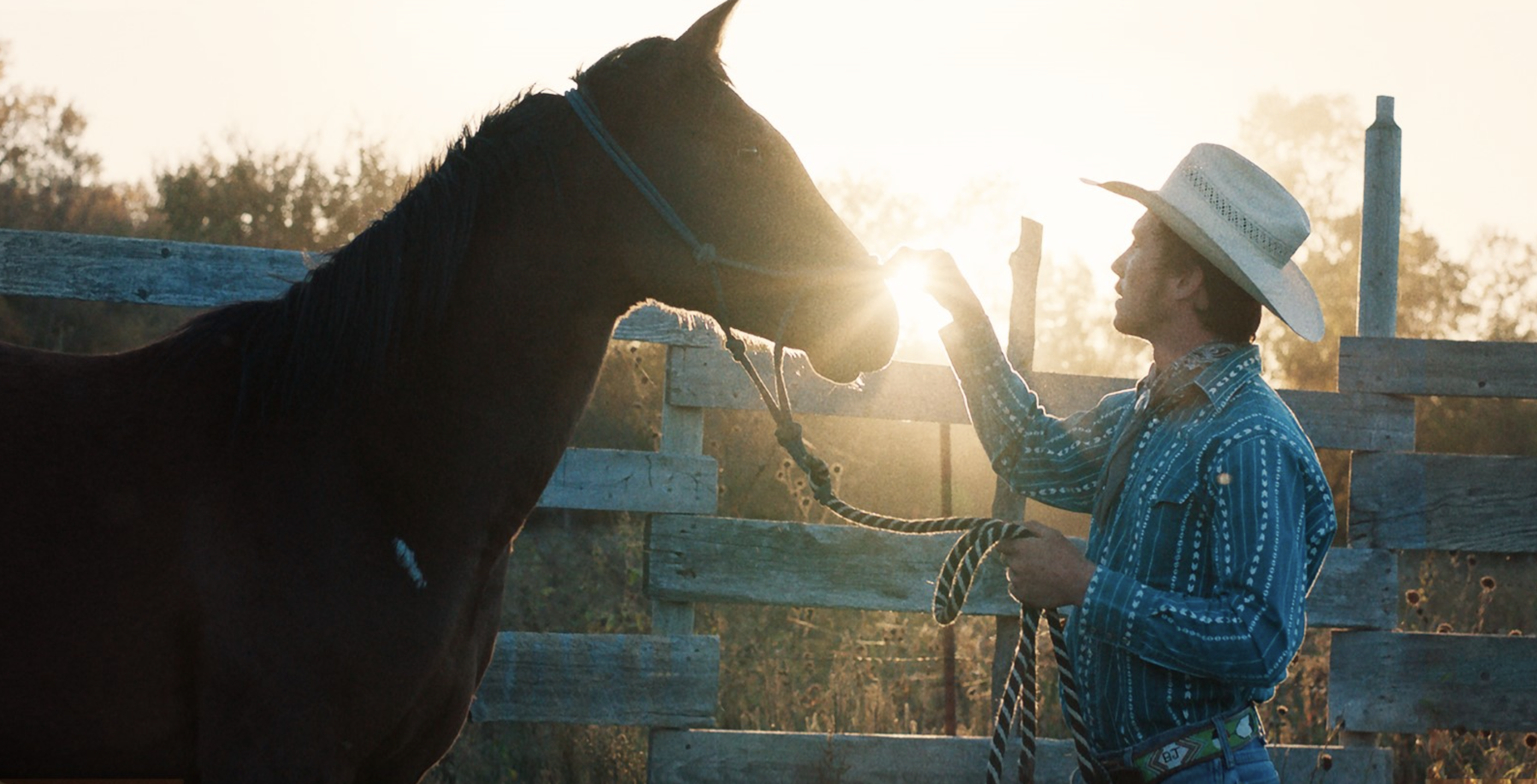 The Rider The Rider