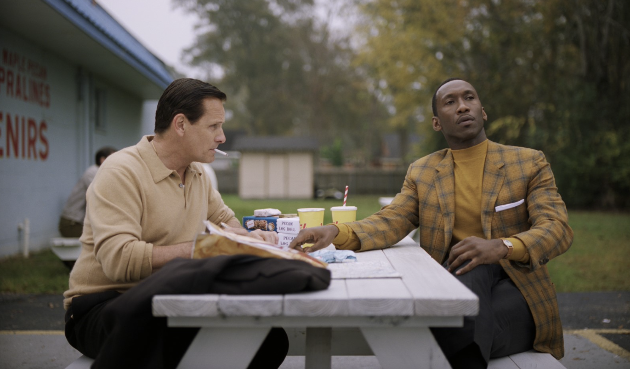 Green book : sur les routes du sud