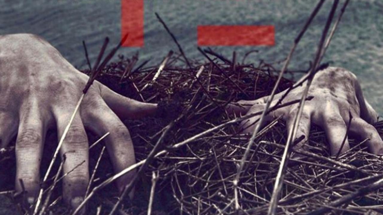 American Horror Story American Horror Story