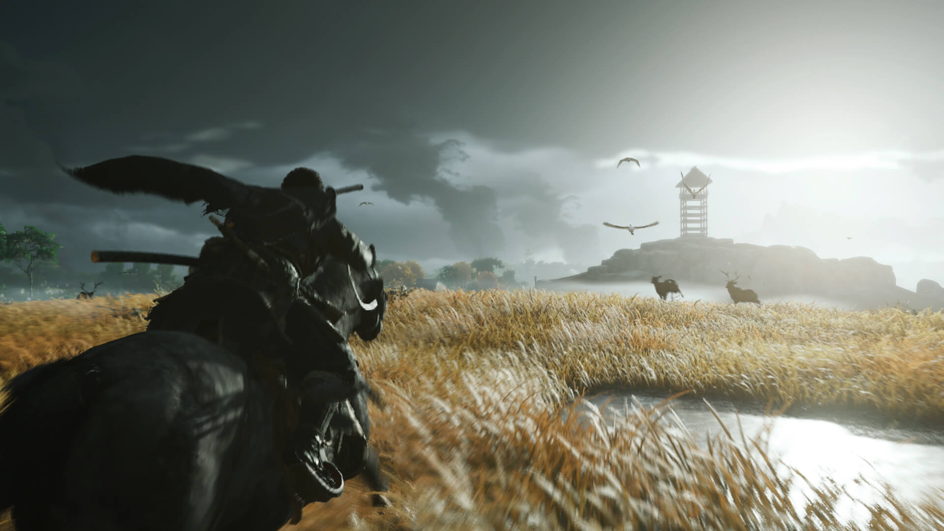 Ghost of Tsushima Ghost of Tsushima