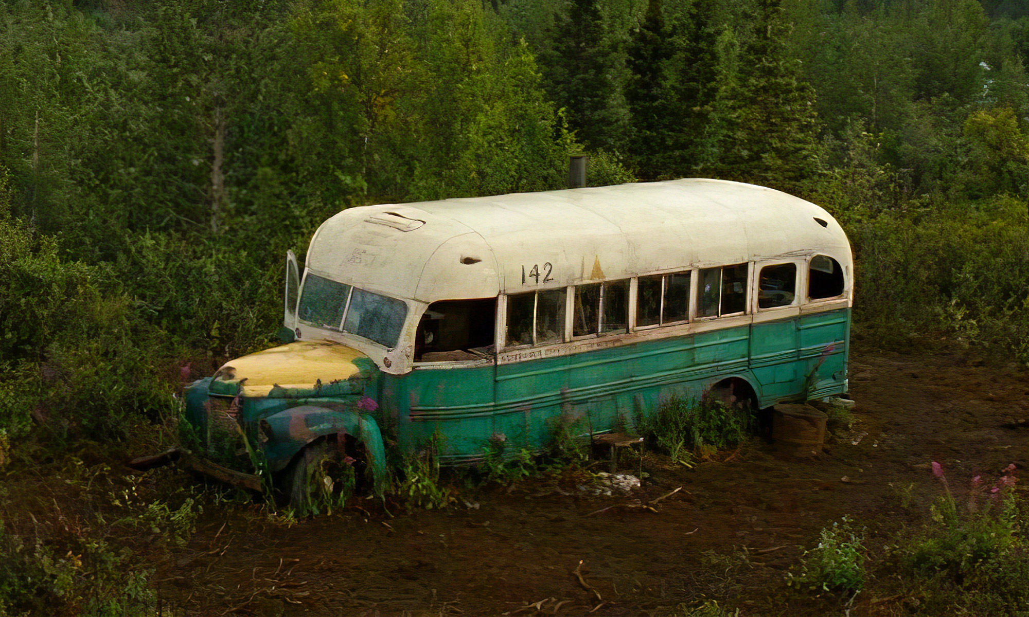 Into the Wild