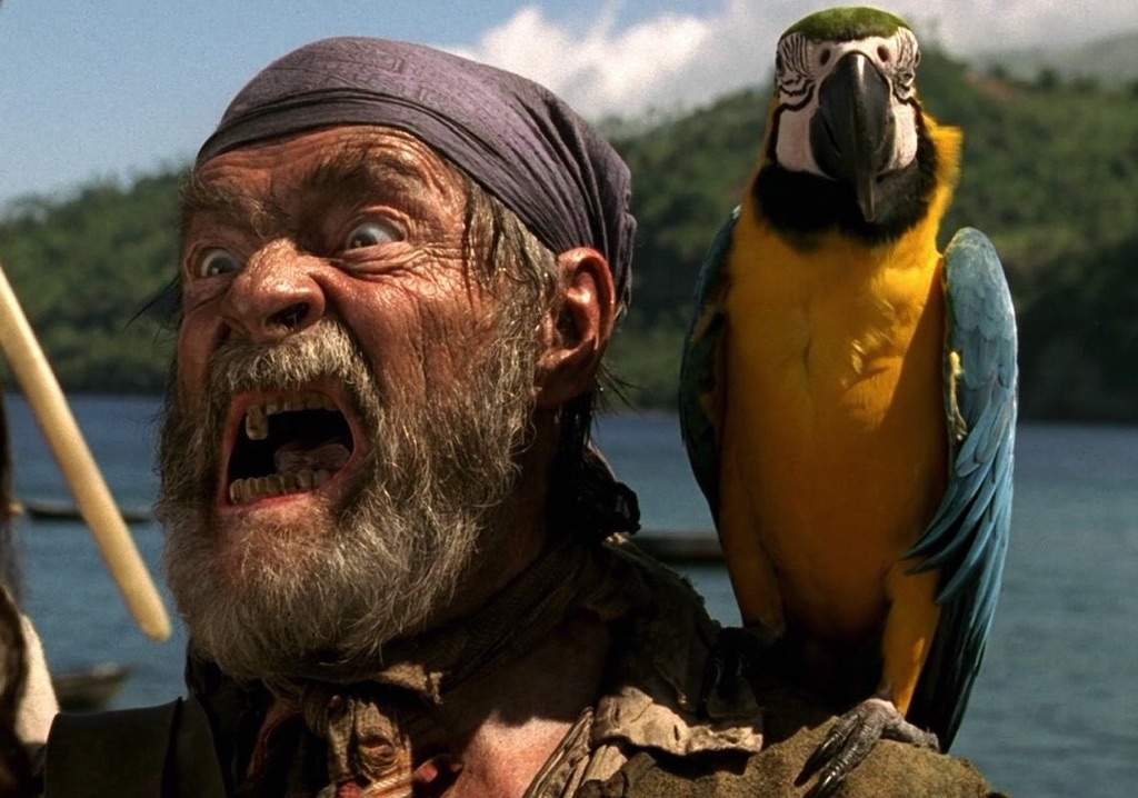 Pirates des Caraïbes