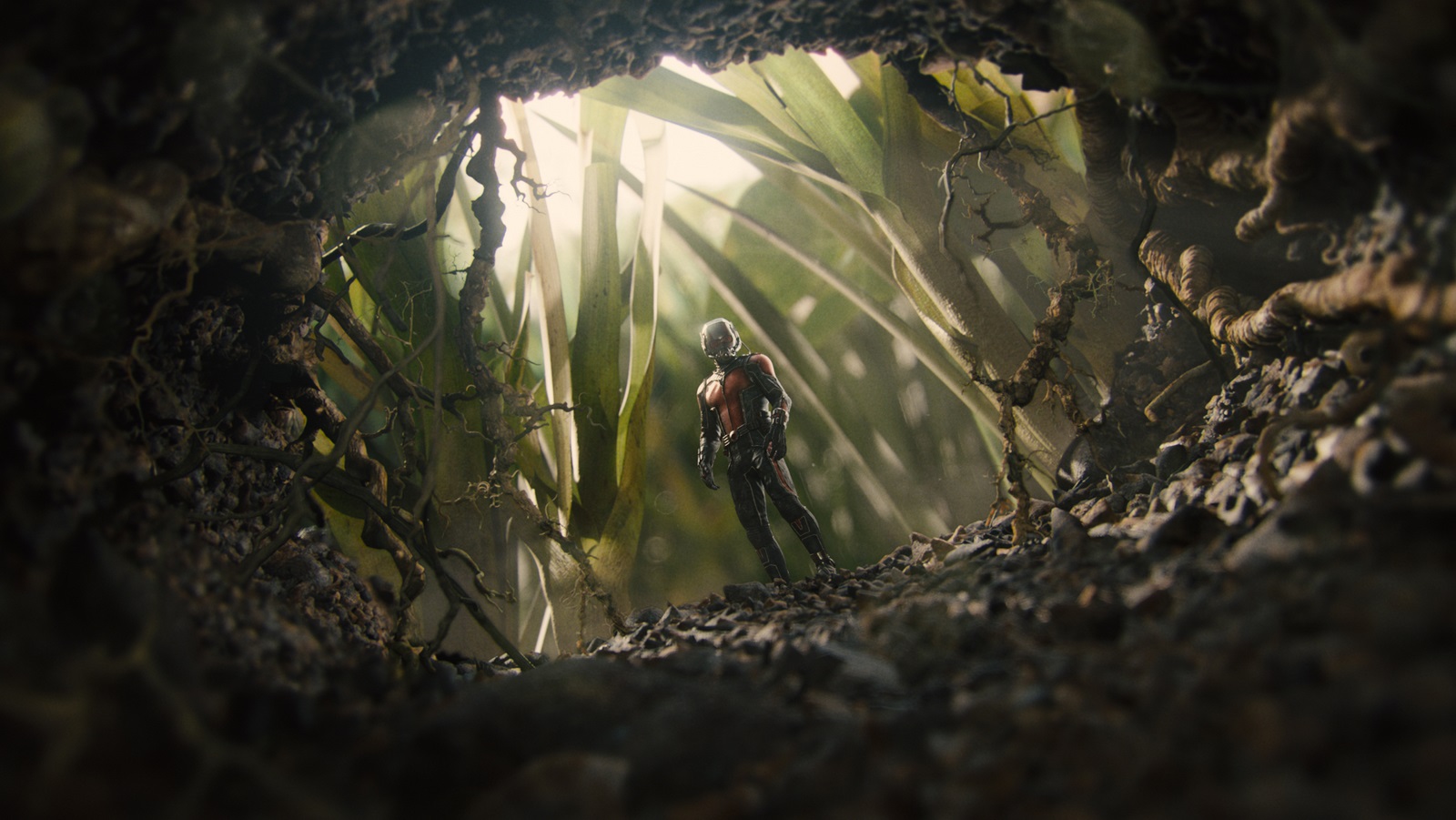 Ant-Man Ant-Man