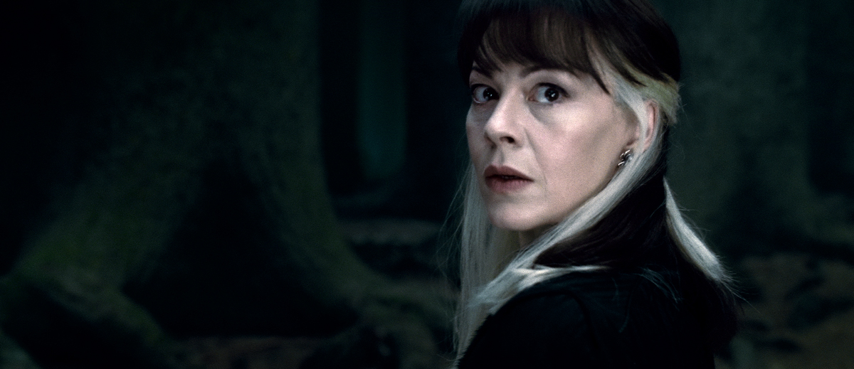 Harry Potter et les reliques de la mort - partie 2