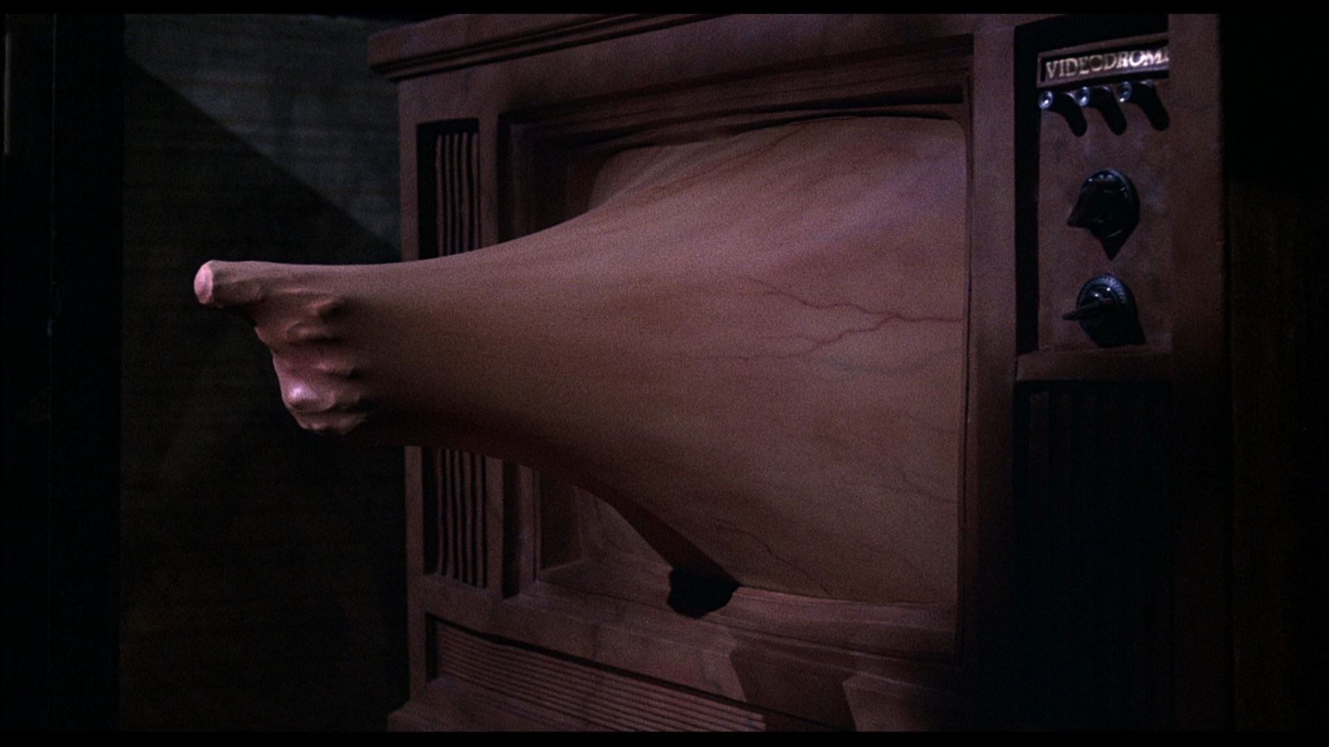 Videodrome Videodrome