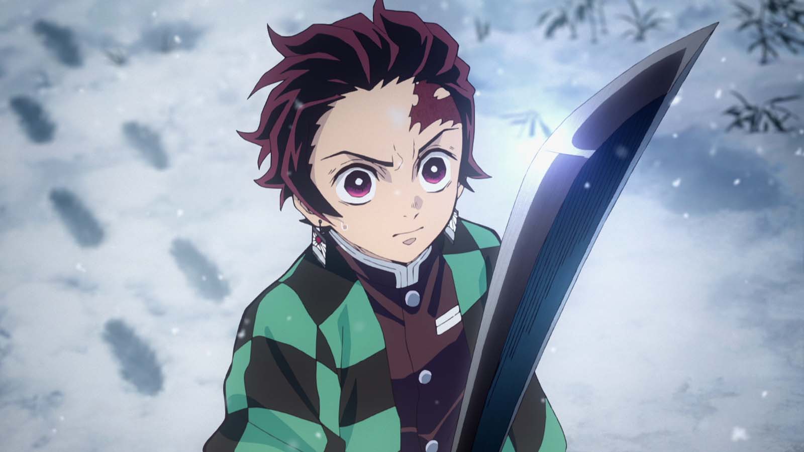 Demon Slayer : Le train de l'infini