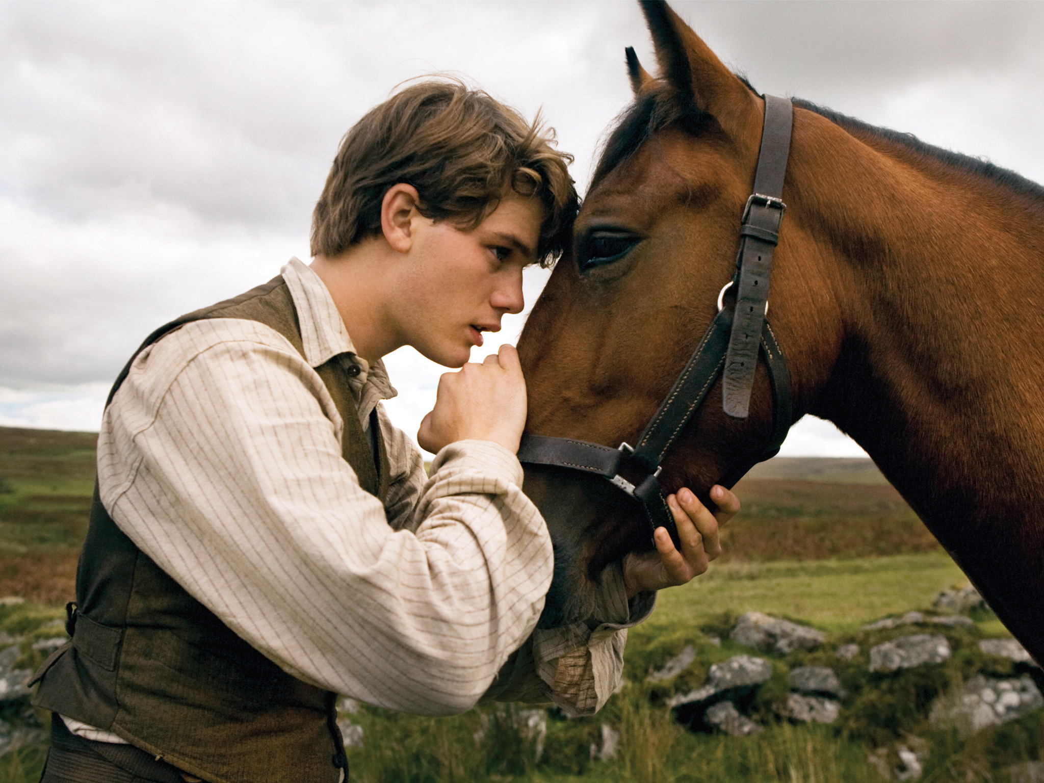 Cheval de guerre