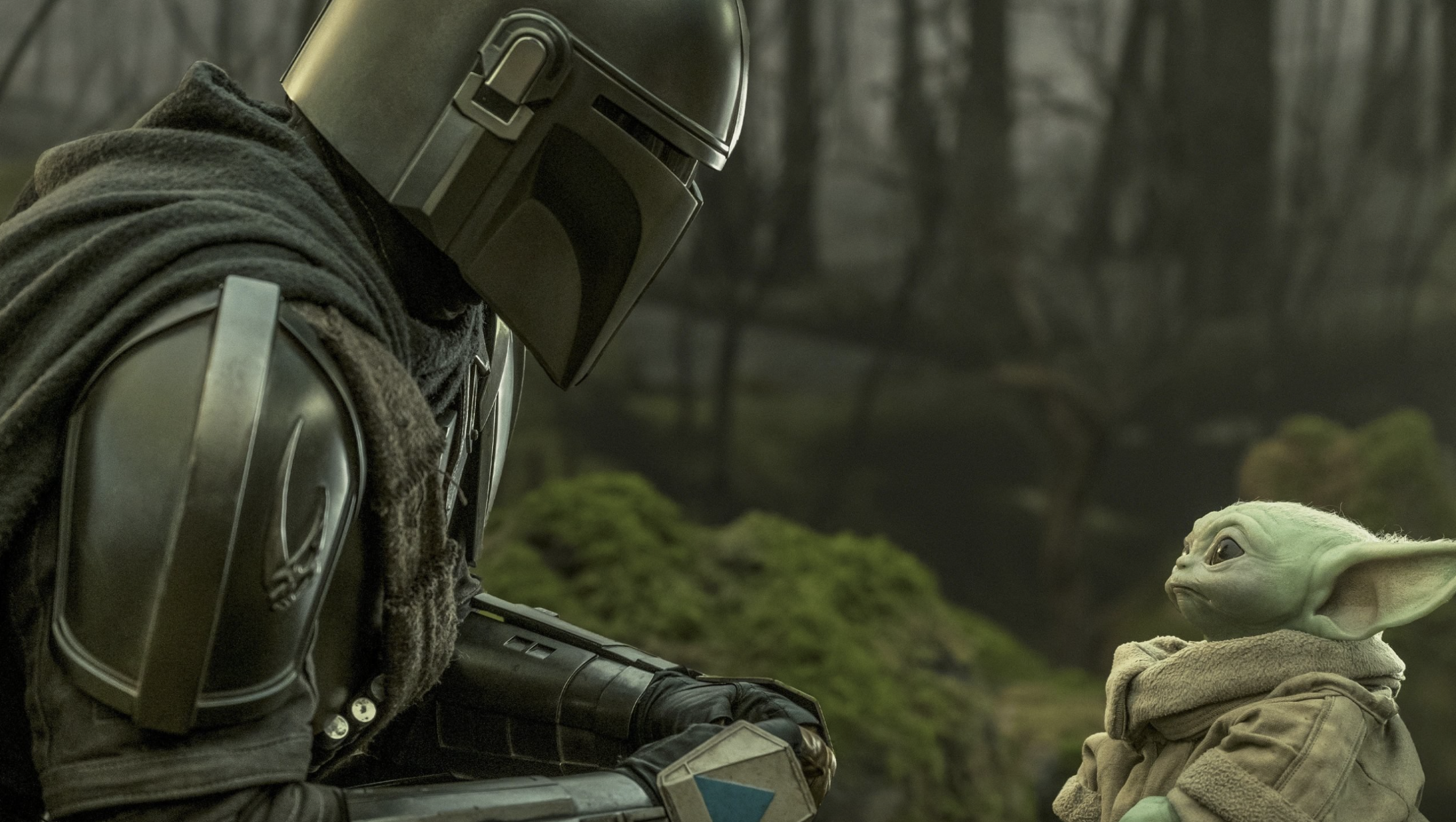 The Mandalorian