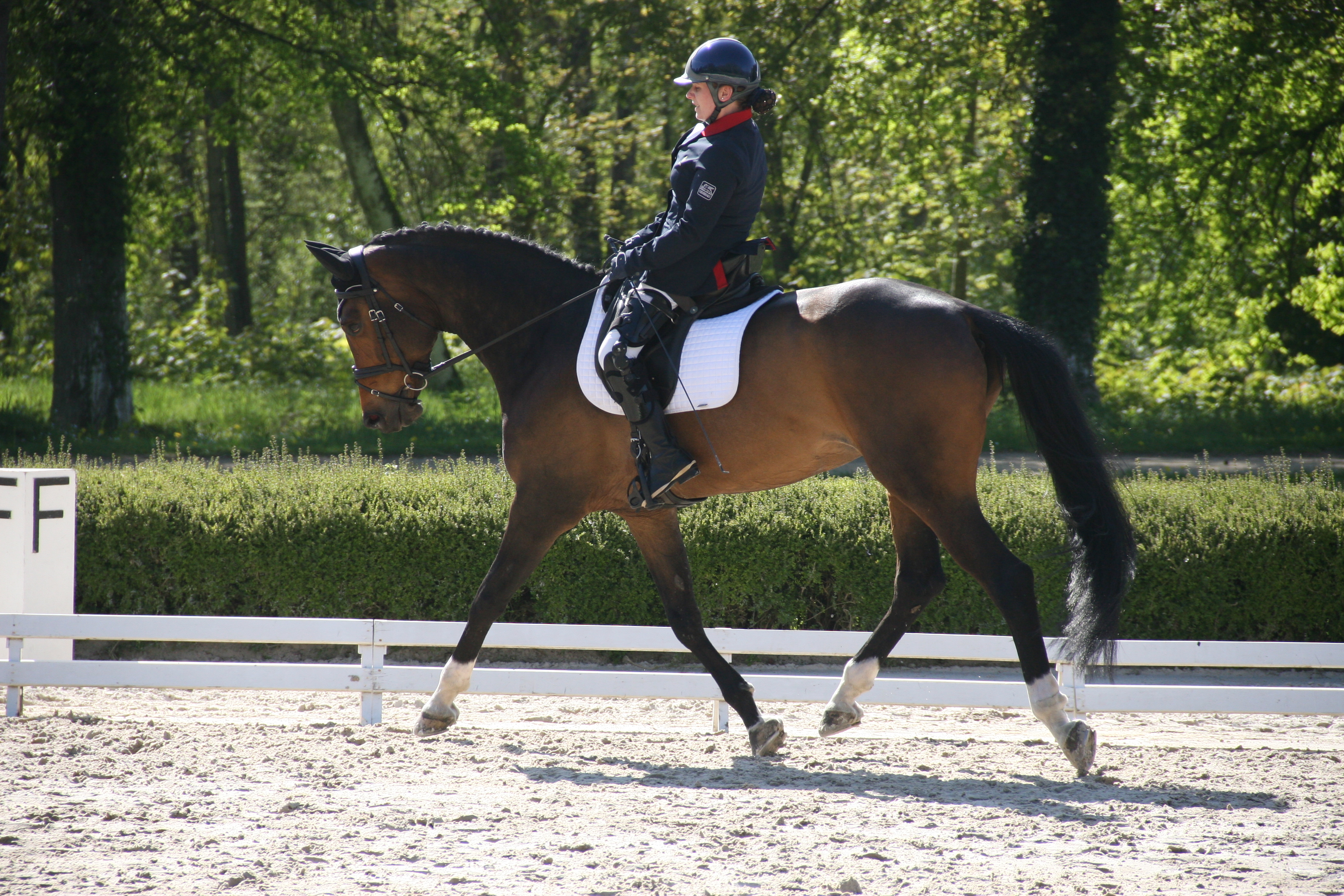 Céline Gerny